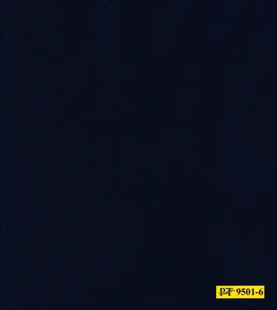 9501-6