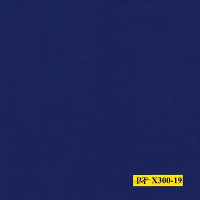 X300-19